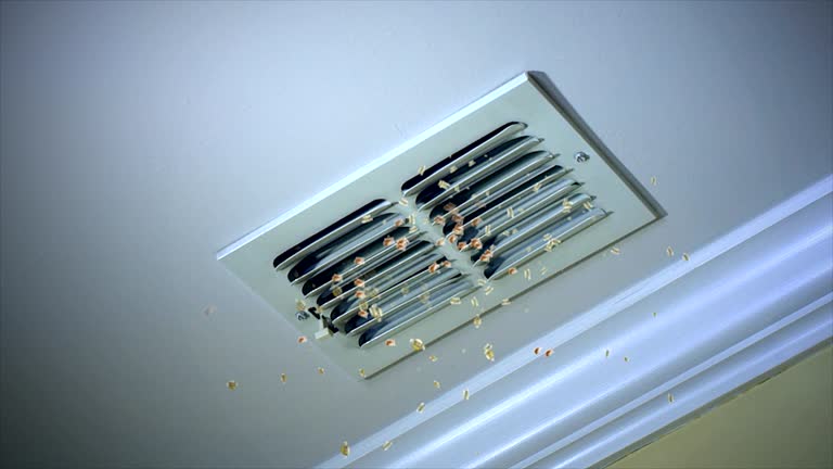Best Home Air Vent Cleaning  in South Chicago Heights, IL